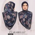 CLARA31B