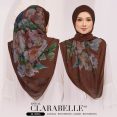 CLARA38B