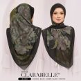 CLARA40B