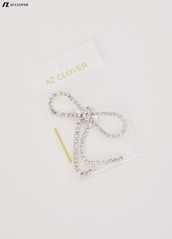 BROOCH 66