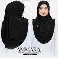 AMM PL 01B