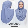 AMM PL 02B