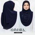 AMM PL 09B