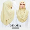 AMM PL 10B