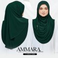 AMM PL 11B