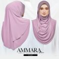 AMM PL 12B