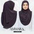 AMM PL 14B