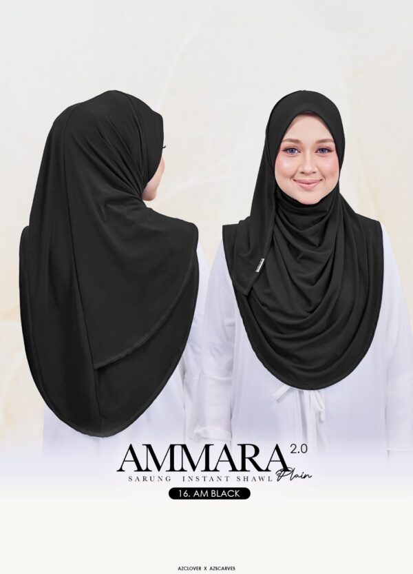 AMP2.0 - 16AB AMP2.0 - 16AB