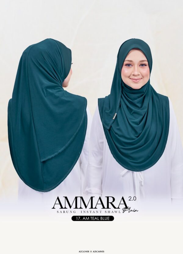 AMP2.0 -17AB AMP2.0 -17AB