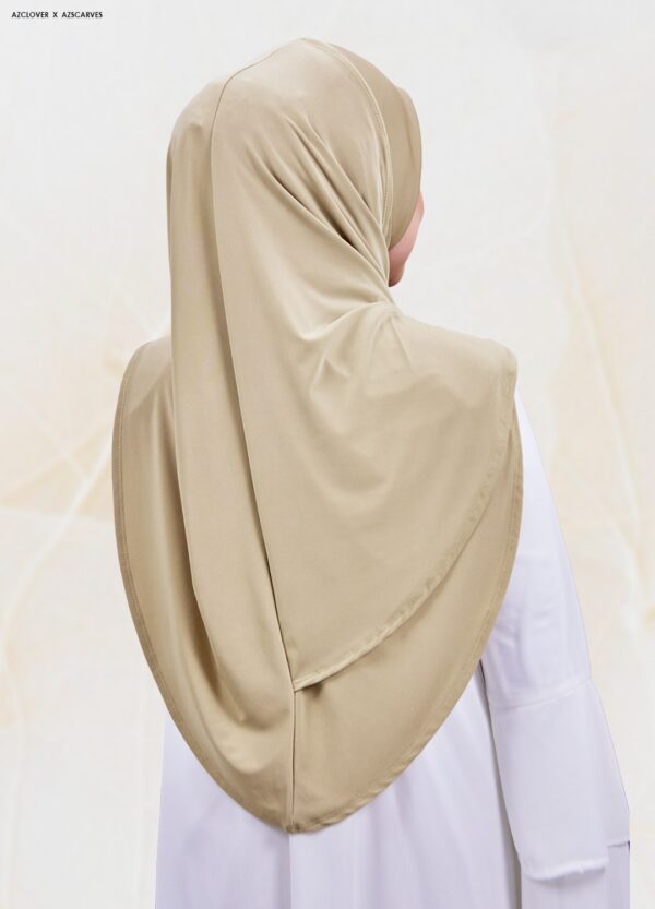 AMP2.0-19B AMP2.0-19B