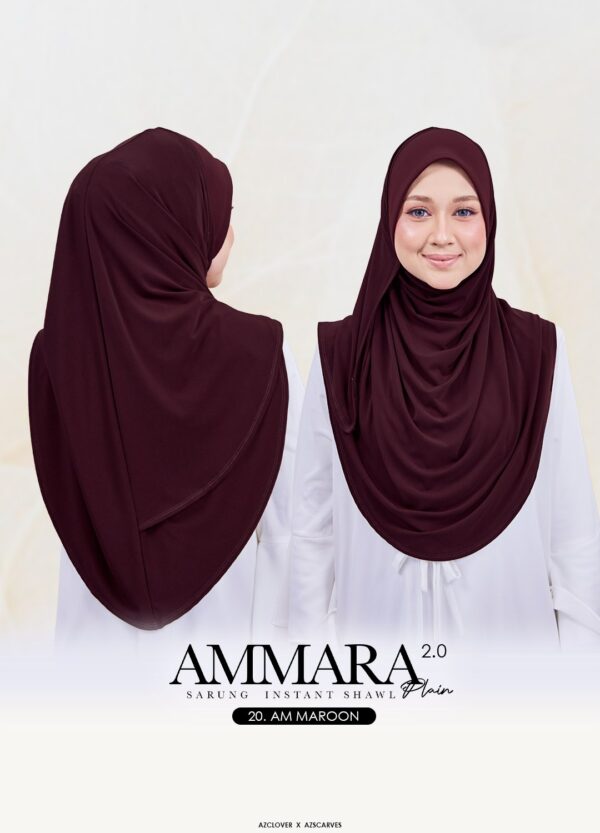 AMP2.0-20AB AMP2.0-20AB