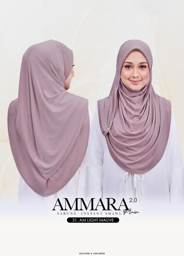 AMP2.0-21AB AMP2.0-21AB