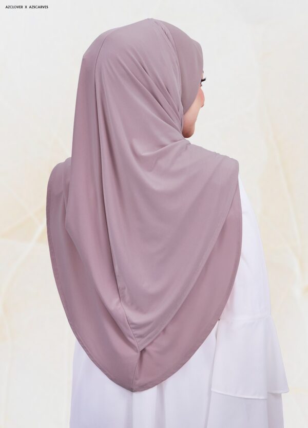 AMP2.0-21B AMP2.0-21B