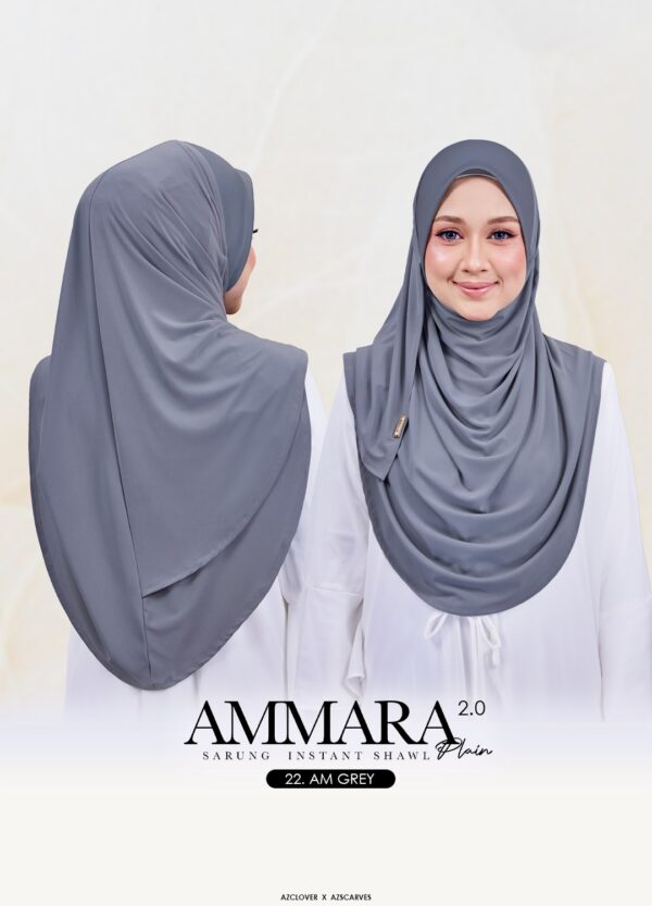 AMP2.0-22AB AMP2.0-22AB