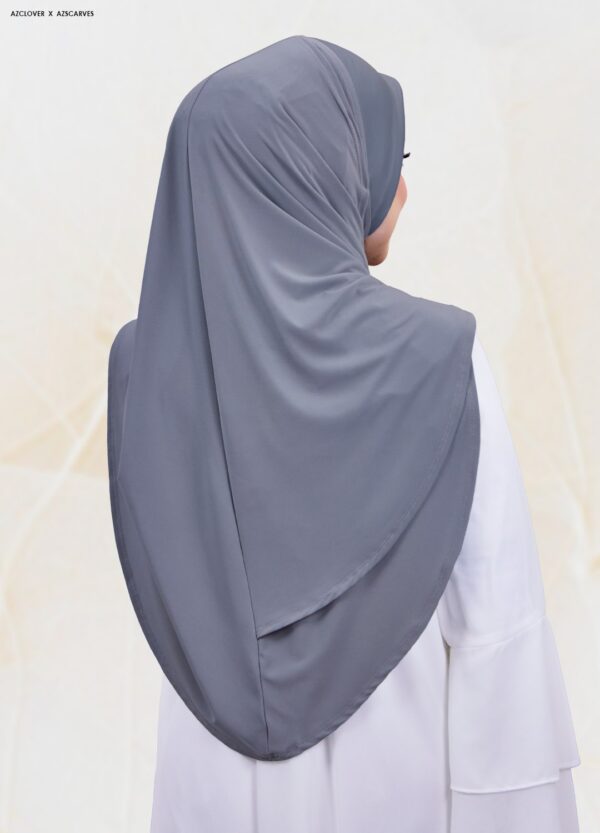 AMP2.0-22B AMP2.0-22B