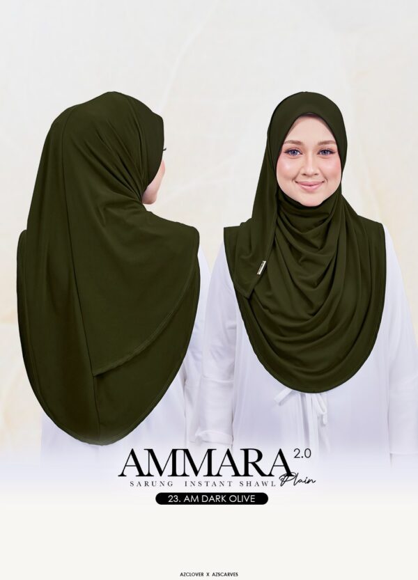 AMP2.0-23AB AMP2.0-23AB