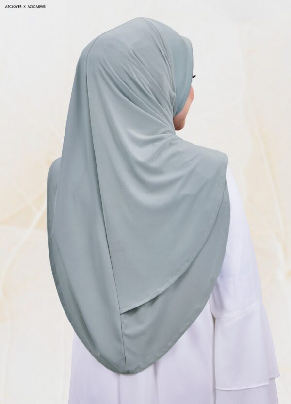 AMP2.0-24B AMP2.0-24B