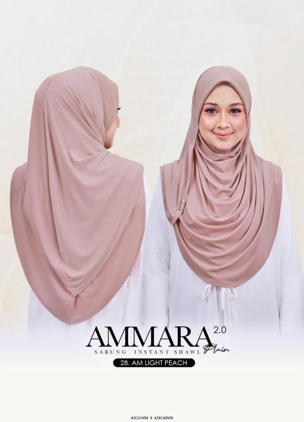 AMP2.0-28AB AMP2.0-28AB