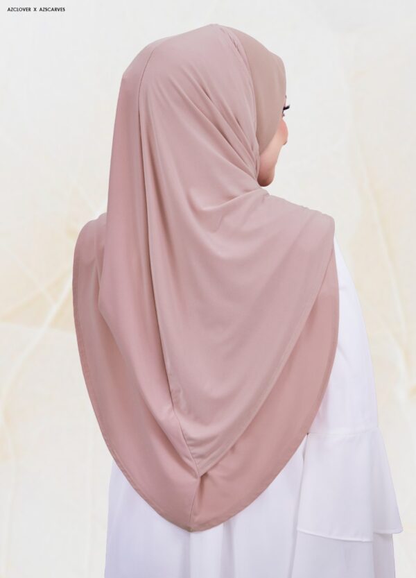 AMP2.0-28B AMP2.0-28B