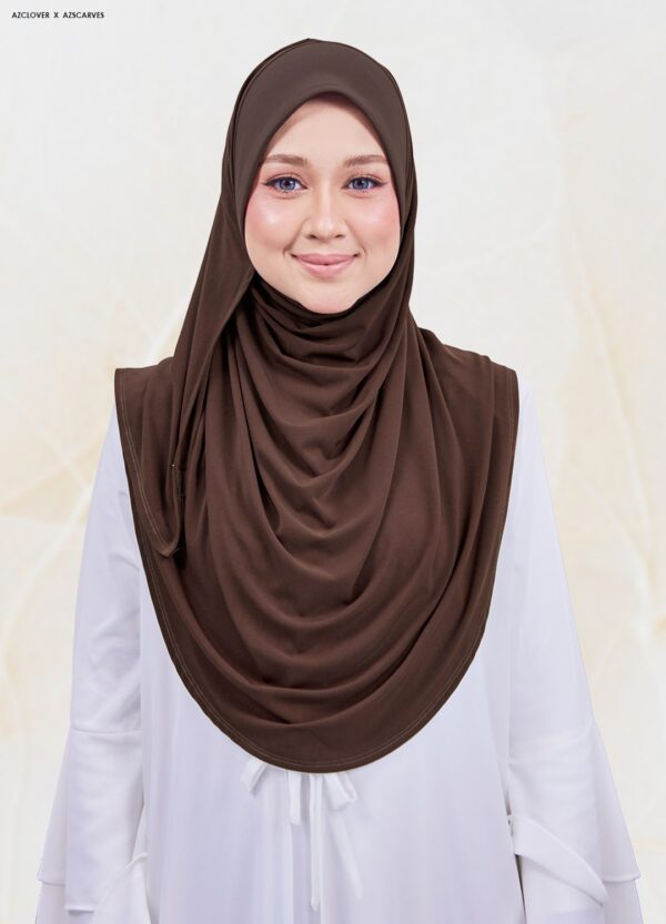 AMP2.0-29A AMP2.0-29A