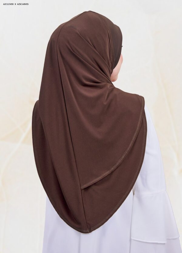 AMP2.0-29B AMP2.0-29B