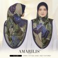 AMRL412