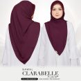 CLBP 4.0 55